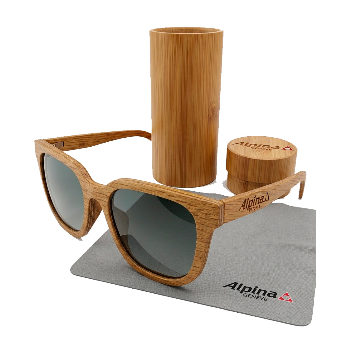 Lentes Alpina AL_GT_SUNGLASSE