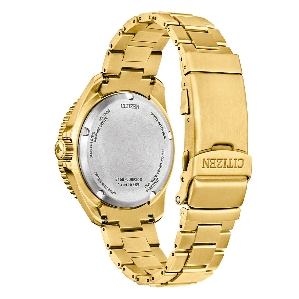 Reloj Citizen Promaster BN0262-59W