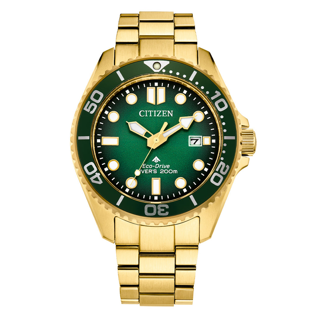 Reloj Citizen Promaster BN0262-59W