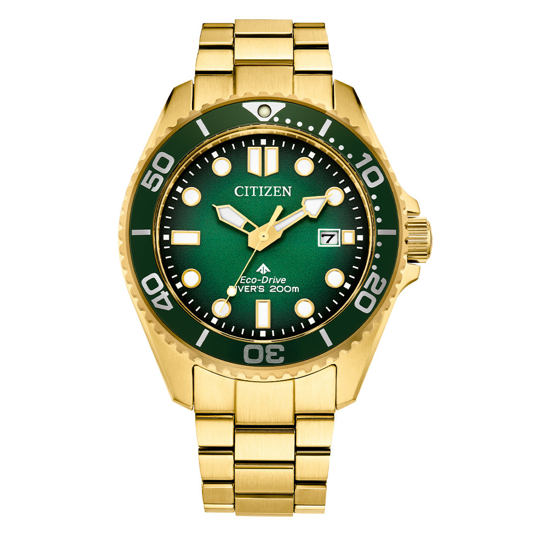Reloj Citizen Promaster BN0262-59W